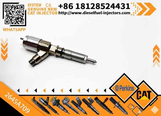 Common Rail Fuel Injector 282-0490 2645A709 2820490 for 320D C6.4 C6.6 Engine Excavator Parts Injector
