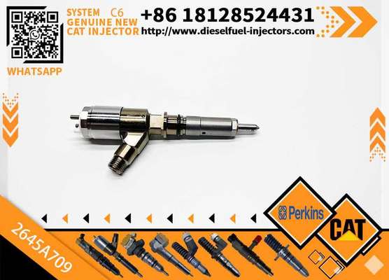 Common Rail Fuel Injector 282-0490 2645A709 2820490 for 320D C6.4 C6.6 Engine Excavator Parts Injector