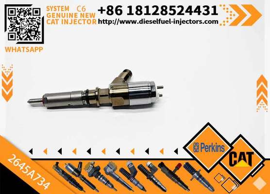 306-9380 10R-7672 2645A734 382-0480 Common Rail Fuel Injector for C6.6 C4.4 C3.4 Engine Fuel Injector 3820480 3069380