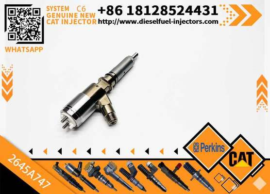 2645A747 320-0680 2645A749 320-0690 New Customizable C6.6 Engine for Caterpillar