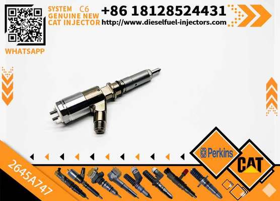 2645A747 320-0680 2645A749 320-0690 New Customizable C6.6 Engine for Caterpillar