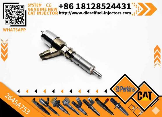 2645A751 2645A753 New Customizable C6.6 Engine for Caterpillar