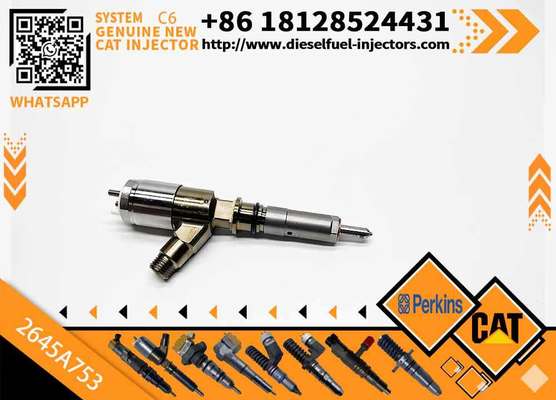 2645A751 2645A753 New Customizable C6.6 Engine for Caterpillar