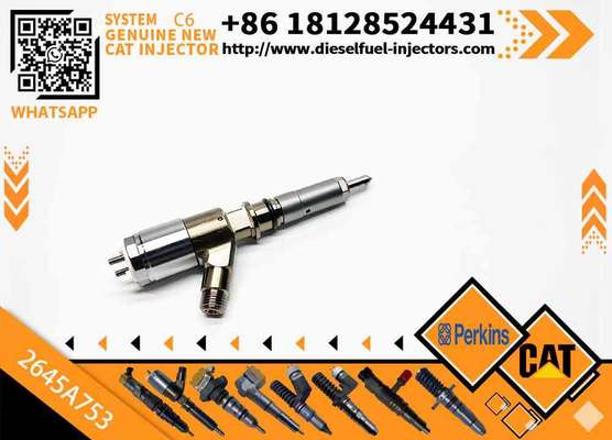 2645A751 2645A753 New Customizable C6.6 Engine for Caterpillar