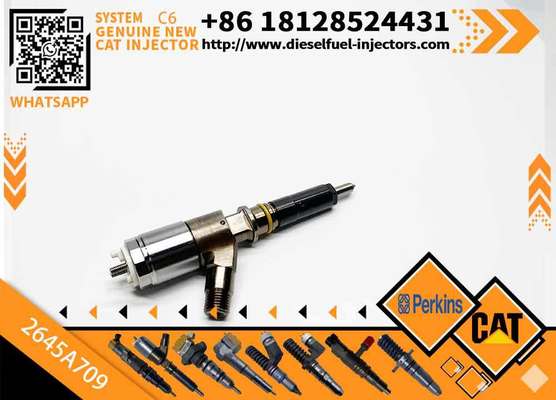 Fuel Injector 282-0490 2645A709 2820490 2645A709 for C-AT C6.6 Engine