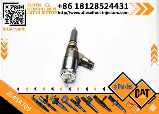 Fuel Injector 282-0490 2645A709 2820490 2645A709 for C-AT C6.6 Engine