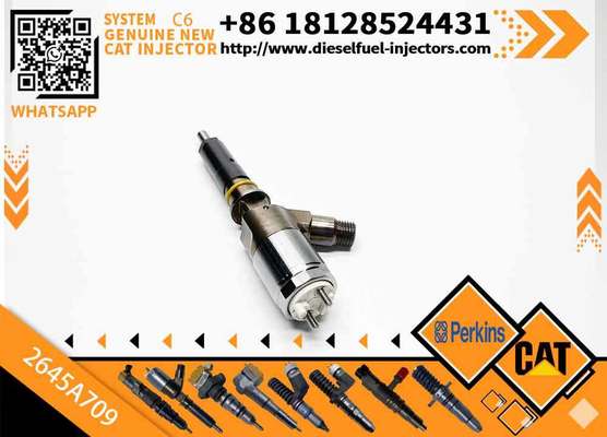 Fuel Injector 282-0490 2645A709 2820490 2645A709 for C-AT C6.6 Engine