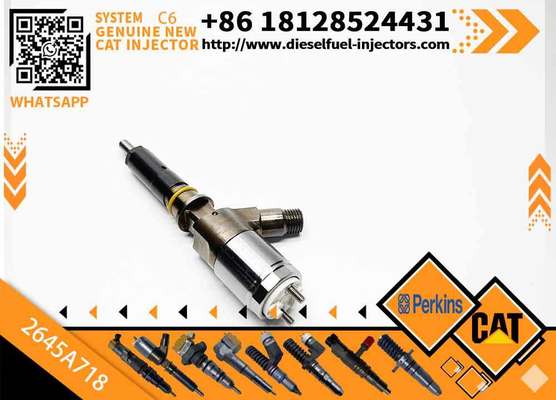 Diesel Fuel Injector 292-3780 Common Rail Injector 2645A718 For CAT C6.6 Engine