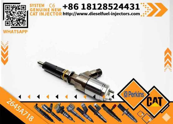 Diesel Fuel Injector 292-3780 Common Rail Injector 2645A718 For CAT C6.6 Engine