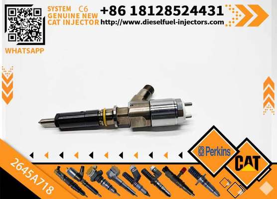 Diesel Fuel Injector 292-3780 Common Rail Injector 2645A718 For CAT C6.6 Engine
