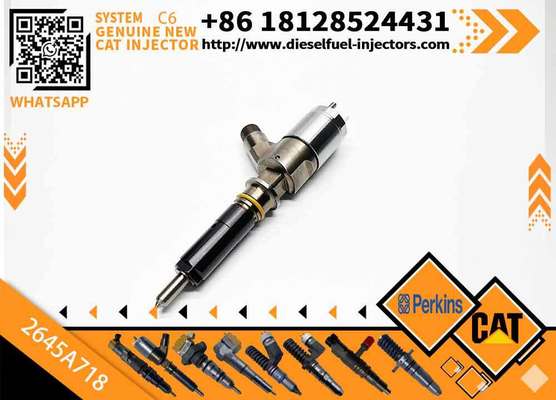 Diesel Fuel Injector 292-3780 Common Rail Injector 2645A718 For CAT C6.6 Engine