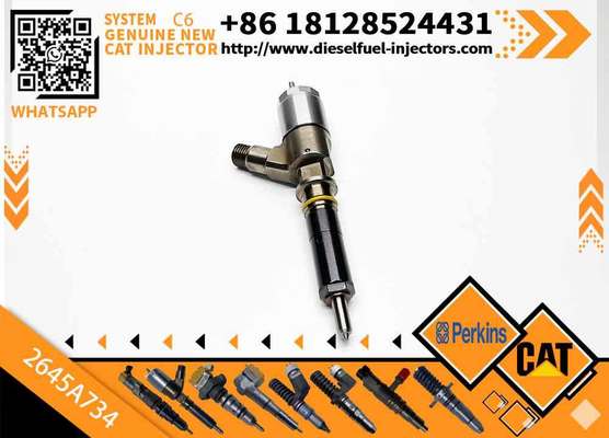 Fuel Injector 2645A718 2645A734 2645A747 for Perkins Engine 1104D-E44TA Caterpillar C4.4 C6.6 Engine M313D M315D M318D M322D