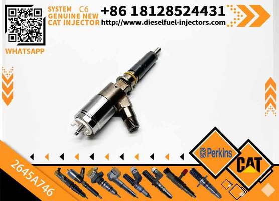 Fuel Injector Assembly C6.4 C6.6 2645A749 2645A744 2645A753 2645A746 2645A747