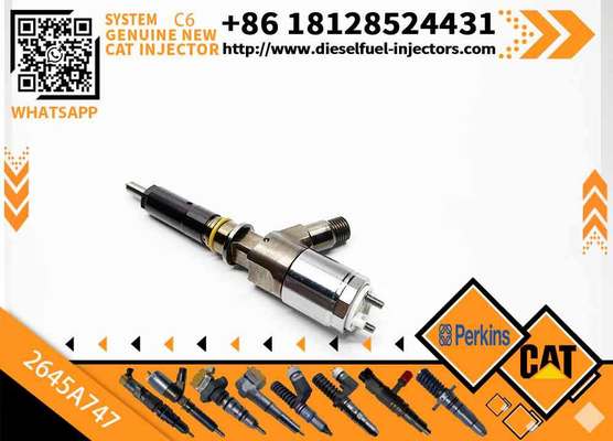 Excavator Parts C6.6 C4.4 Fuel Injector 320-0680 2645A747 Nozzle Injector 3200680 Construction Machinery Parts for 320D E320D