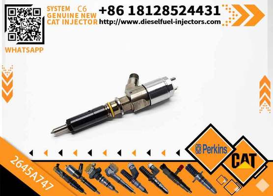 Excavator Parts C6.6 C4.4 Fuel Injector 320-0680 2645A747 Nozzle Injector 3200680 Construction Machinery Parts for 320D E320D