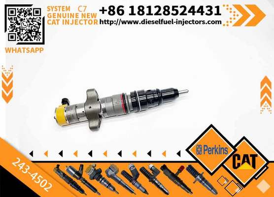 263-8218 387-9427 328-2585 10R-7225 243-4502 10R7255 387-9430 238-8901 241-3239 Diesel Fuel Injector for C7 Engine