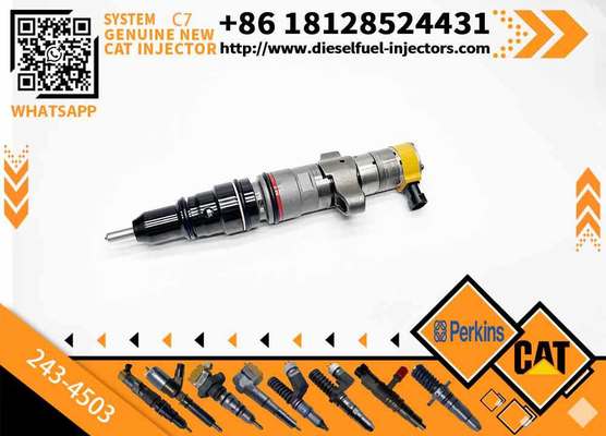 263-8218 387-9427 328-2585 10R-7225 243-4502 10R7255 387-9430 238-8901 241-3239 Diesel Fuel Injector for C7 Engine