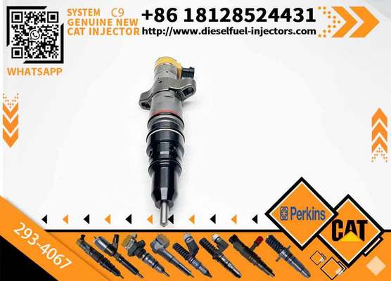 1PC 293-4067 2934067 10R-4764 Fuel Injector Suitable for Caterpillar CAT C9 Engine 336D 336D2 Excavator