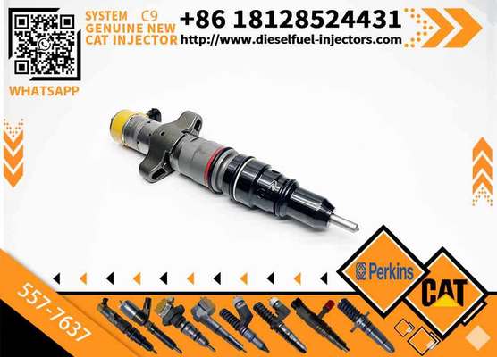 557-7637 Fuel Injector 573-4231 577-7633 for Caterpillar CAT C9 Engine
