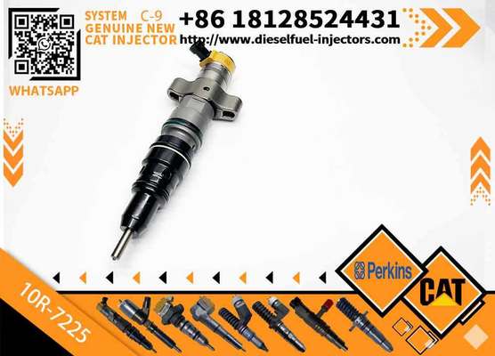 20R-8968 10R-7225 10R7225 Common Rail Injector 328-2576
