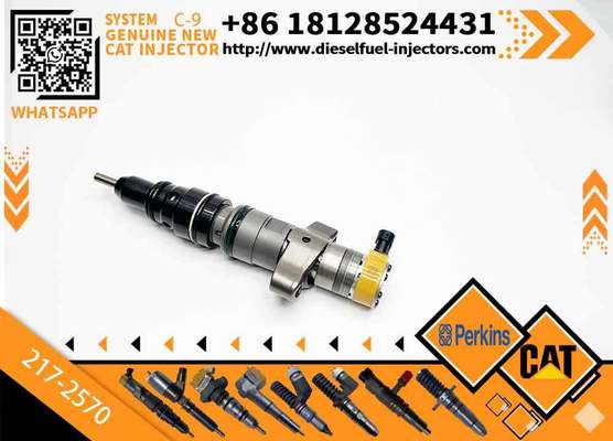 CAT C7 C9 Fuel Injector 217-2570 235-2888 2352888 387-9433 3879433 293-4071 387-9427 3879427 263-8218 2638218 for Caterpillar