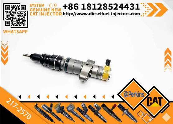 CAT C7 C9 Fuel Injector 217-2570 235-2888 2352888 387-9433 3879433 293-4071 387-9427 3879427 263-8218 2638218 for Caterpillar