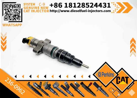 Common Rail Injector 236-0962 241-3238 263-8218 for Cat Excavator Caterpillar C7 Engine Parts