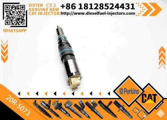 Common Rail Injector Gp-Fuel diesel Fuel Injector 456-3589 4563589 20R5073 20R-5073 for Caterpillar Engine C9.3