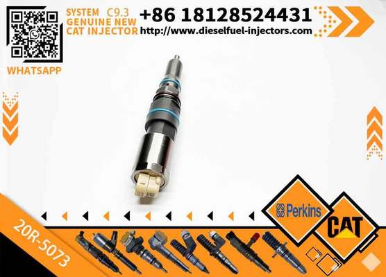 Common Rail Injector Gp-Fuel diesel Fuel Injector 456-3589 4563589 20R5073 20R-5073 for Caterpillar Engine C9.3