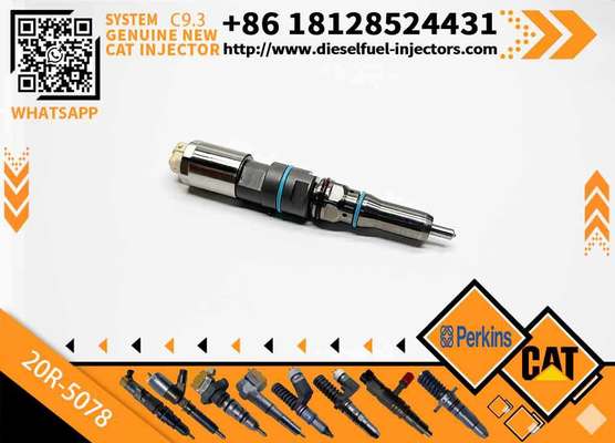 Engine Fuel Injector Gp-Fuel 456-3545 4563545 20R5078 20R-5078 for Caterpillar Excavator