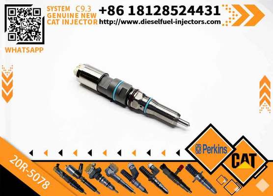 Engine Fuel Injector Gp-Fuel 456-3545 4563545 20R5078 20R-5078 for Caterpillar Excavator