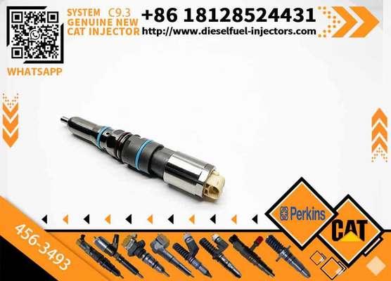 Excavator Parts 20r5036 20r-5036 C9.3 Injector 456-3493 for 336e