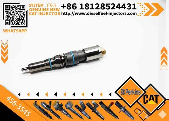 Engine Fuel Injector Gp-Fuel 456-3545 4563545 20R5078 20R-5078 for Caterpillar Excavator