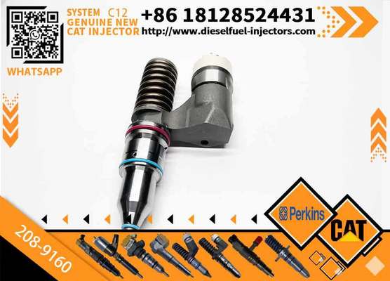 Excavator Accessories Fuel Injector 208-9160 116-8899 for CAT C10 C11 C12 C13 for Construction Machinery