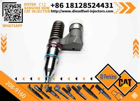 Excavator Accessories Fuel Injector 208-9160 116-8899 for CAT C10 C11 C12 C13 for Construction Machinery