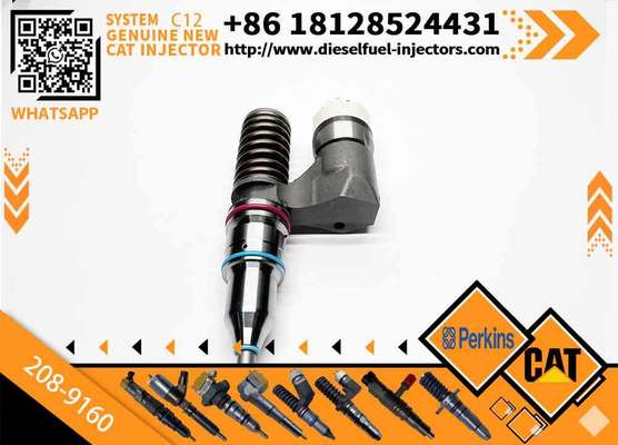 Excavator Accessories Fuel Injector 208-9160 116-8899 for CAT C10 C11 C12 C13 for Construction Machinery
