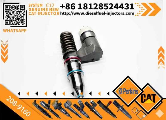 Excavator Accessories Fuel Injector 208-9160 116-8899 for CAT C10 C11 C12 C13 for Construction Machinery