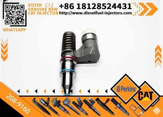 Excavator Accessories Fuel Injector 208-9160 116-8899 for CAT C10 C11 C12 C13 for Construction Machinery