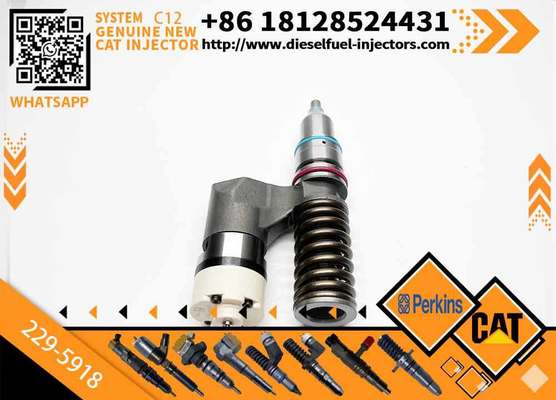 New Common Rail Fuel Injector 223-5328 229-5918 20R-0055 10R-0725 for C12 Diesel Engine