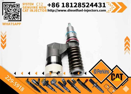 New Common Rail Fuel Injector 223-5328 229-5918 20R-0055 10R-0725 for C12 Diesel Engine