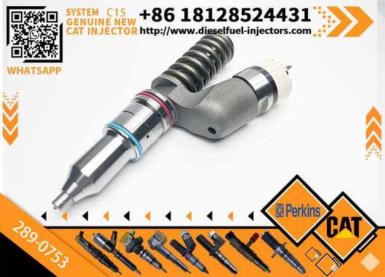 289-0753 Pump GP-Fuel Injector CA2890753 2890753 20R-5036 20R5036 for Diesel Engine Industrial Engine C15 C18