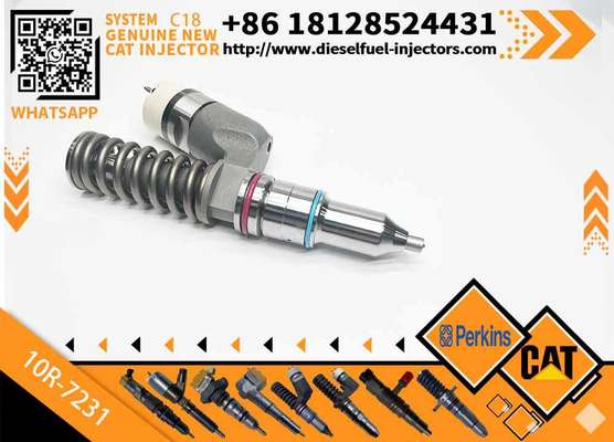 Diesel Fuel Injector 276-8307 10R-7231 230-3775 for Cat-erpillar C18/C32 Common Rail Injection Valves