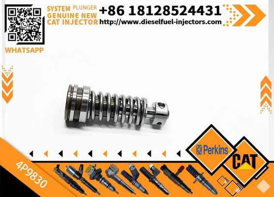 Construction Machinery Parts Fuel Injection Pump Plunger 4P9830 1W6541 7W5929 for Cat Engine 3304 3306 Plunger