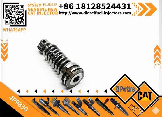 Construction Machinery Parts Fuel Injection Pump Plunger 4P9830 1W6541 7W5929 for Cat Engine 3304 3306 Plunger