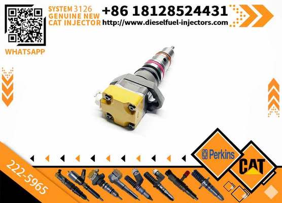 Diesel Engine Fuel Pump Injector 222-5965 2225965 for 3126B/3126E/3126