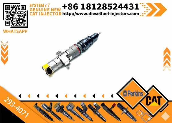 293-4071 Diesel Fuel Injector for Caterpillar C9 Engine 2934071