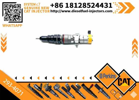 293-4071 Diesel Fuel Injector for Caterpillar C9 Engine 2934071