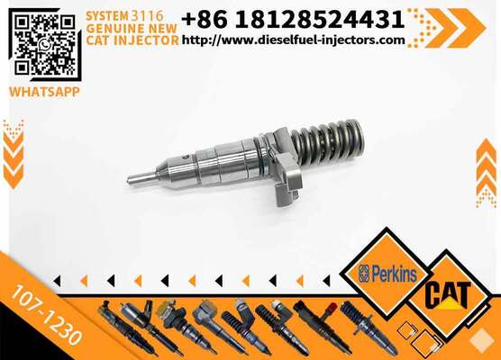 High Quality Common Rail Fuel Injector 102-7038 105-1694 107-1230 for C-aterpillar Sprayer Excavator 3116