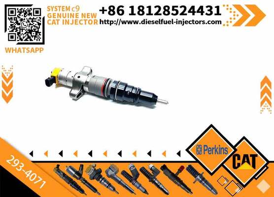 Cat C9 Injector 387-9439 172-5780 293-4071 387-9484 236-0957 293-4072 for