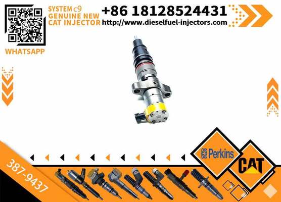 Cat Fuel C9 Injector 387-9436 10R-2828 387-9437 10R-4844 for diesel Engine Excavator